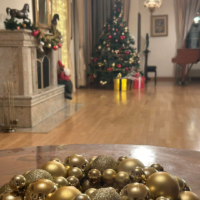 Muse House centralni salon