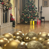 Muse House novogodisnji praznici